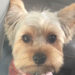 Meet your Posher, Erin